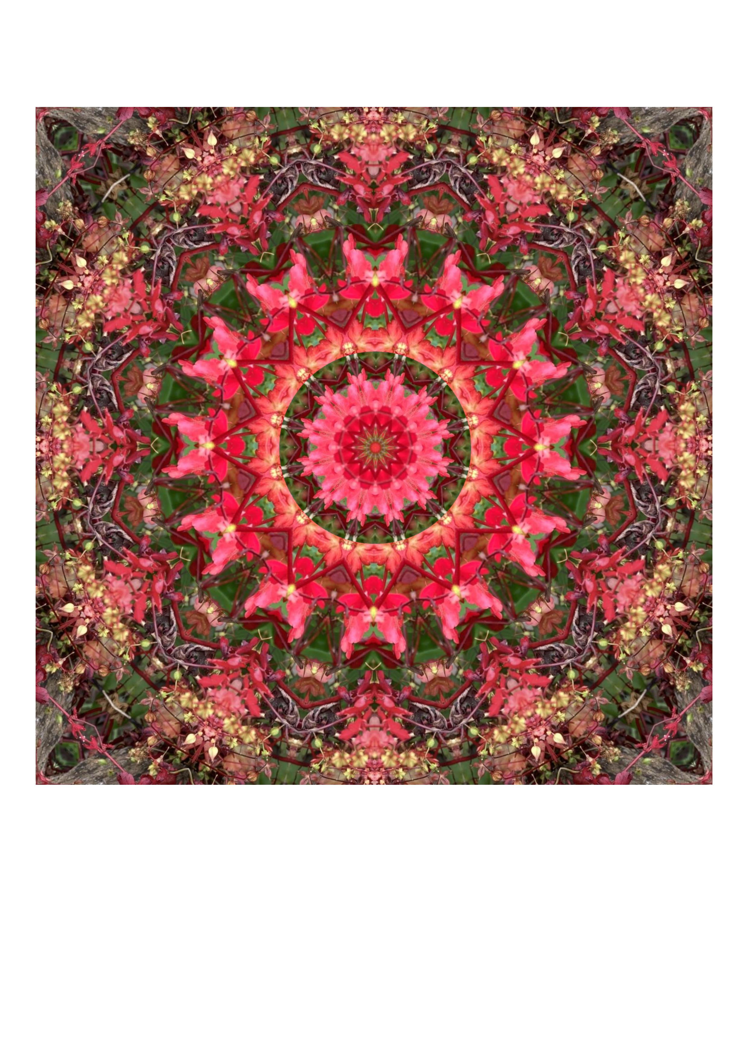 Rainbow Mandala - Orange/Red