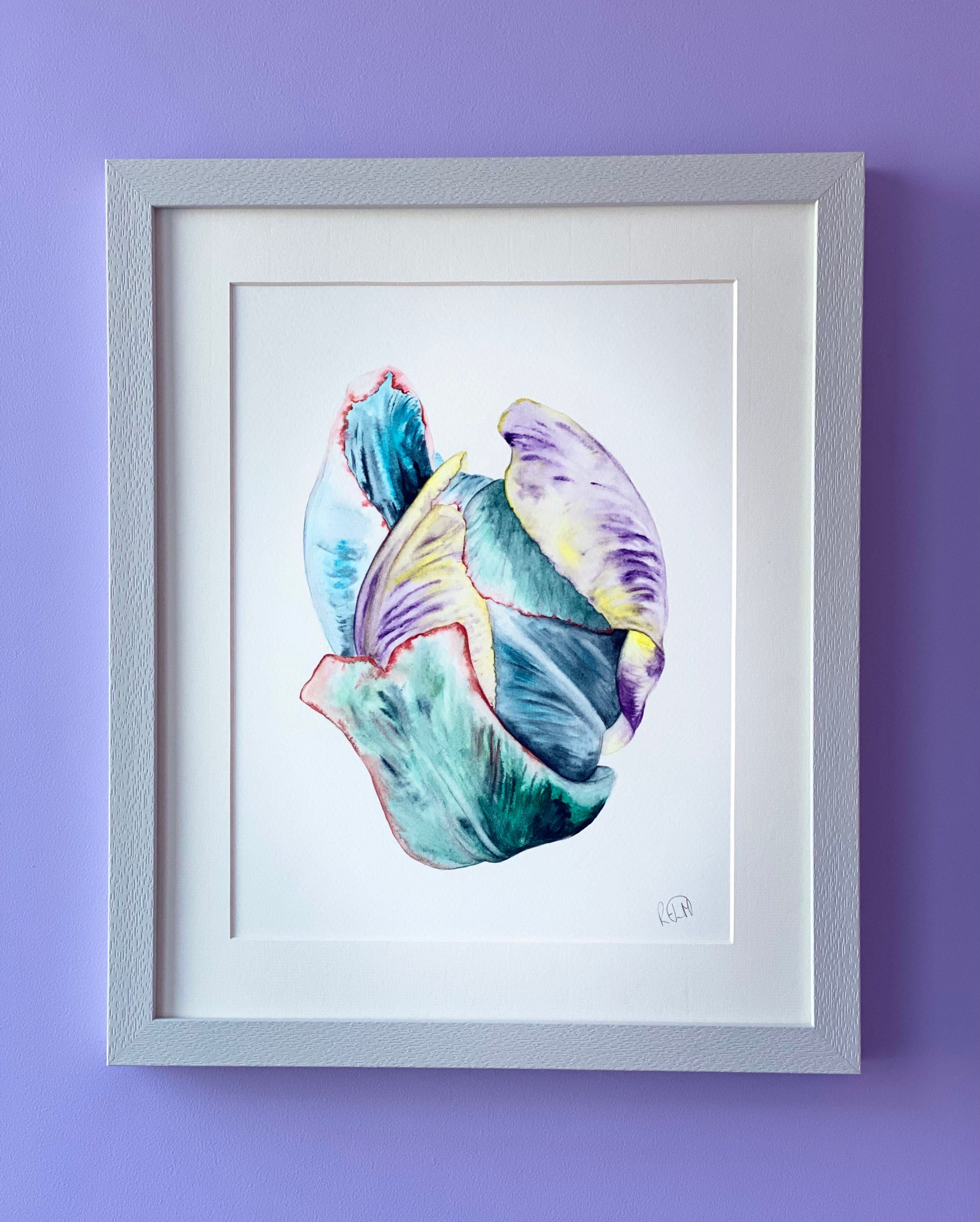 Tulip - Multi