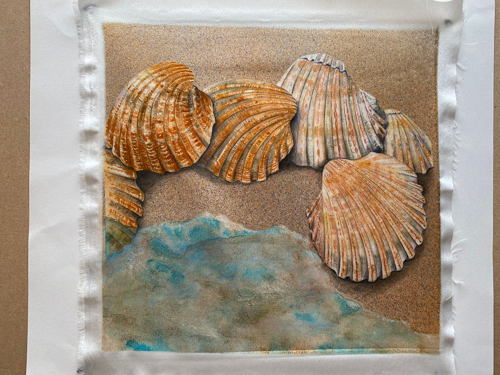 Tony's Shells