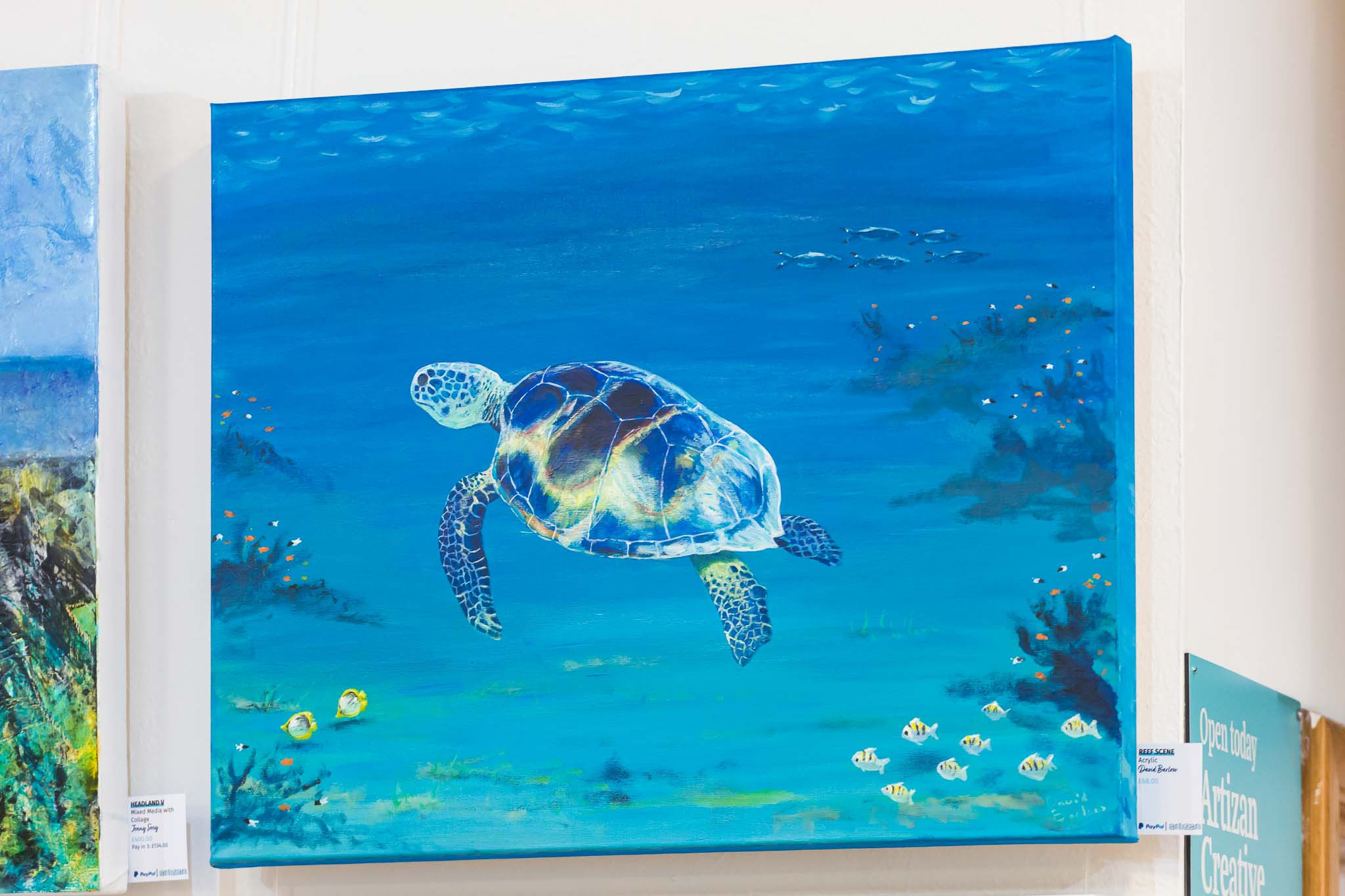 Reef Scene