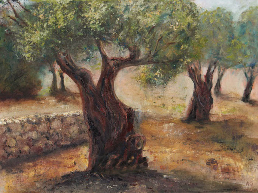 The Olive Grove