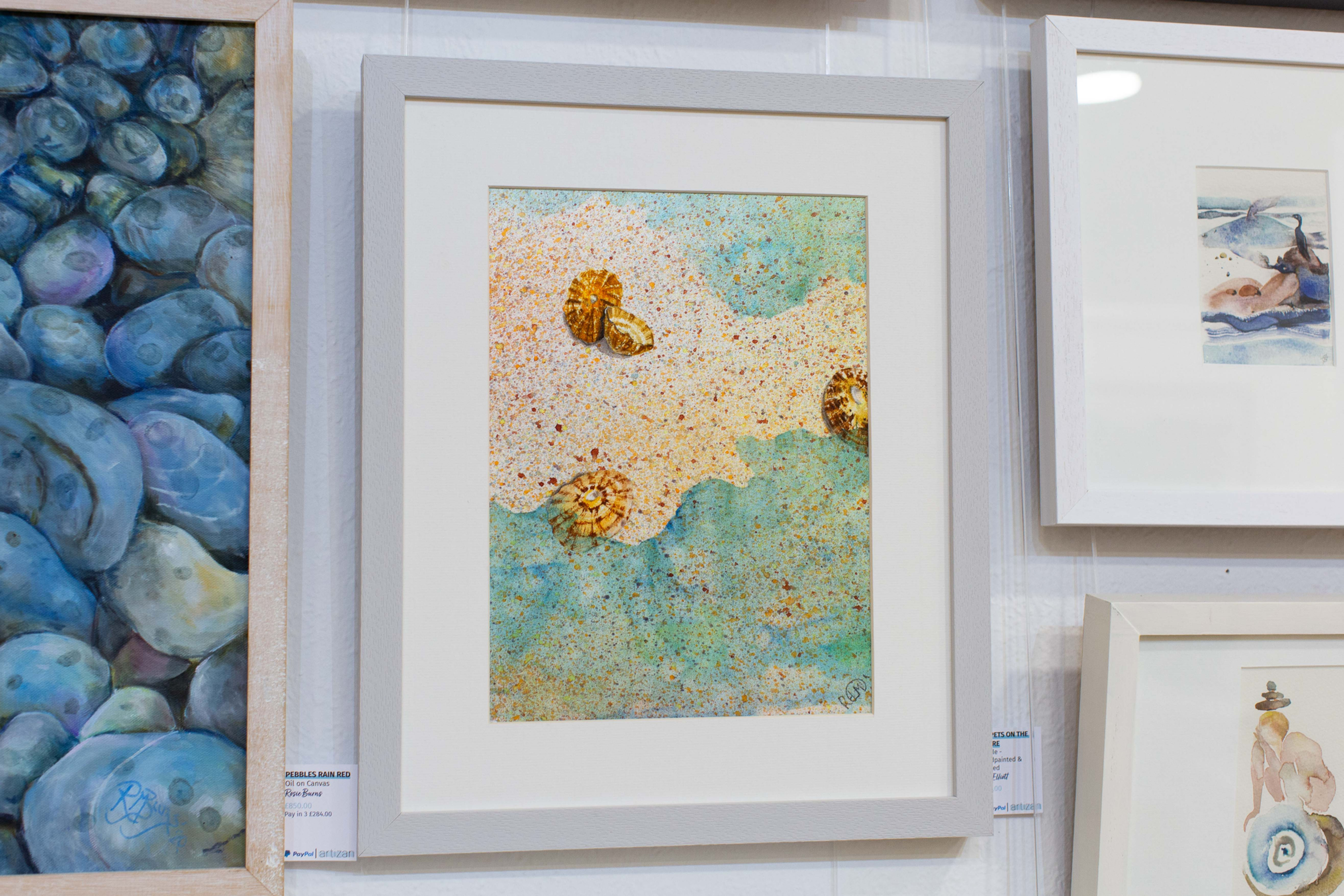 Limpets On The Shore
