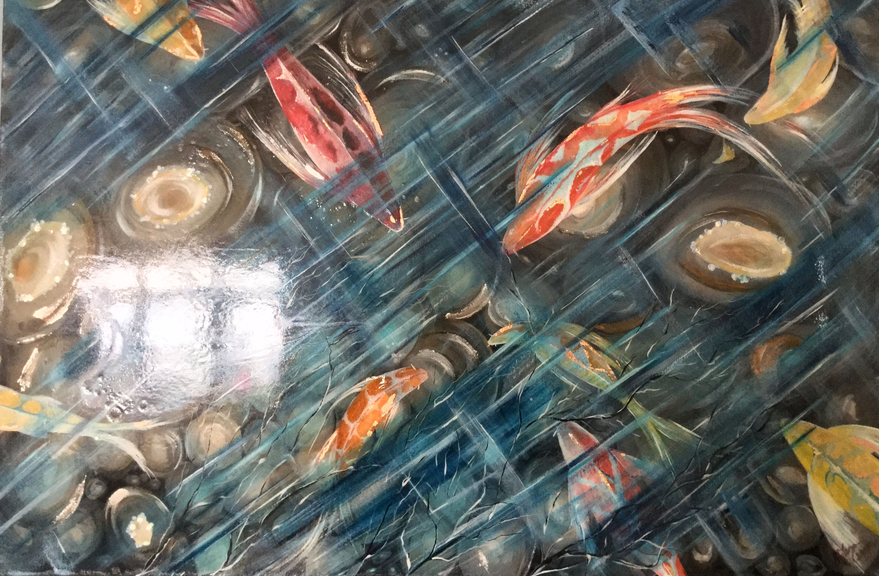 Koi Carp Reflections