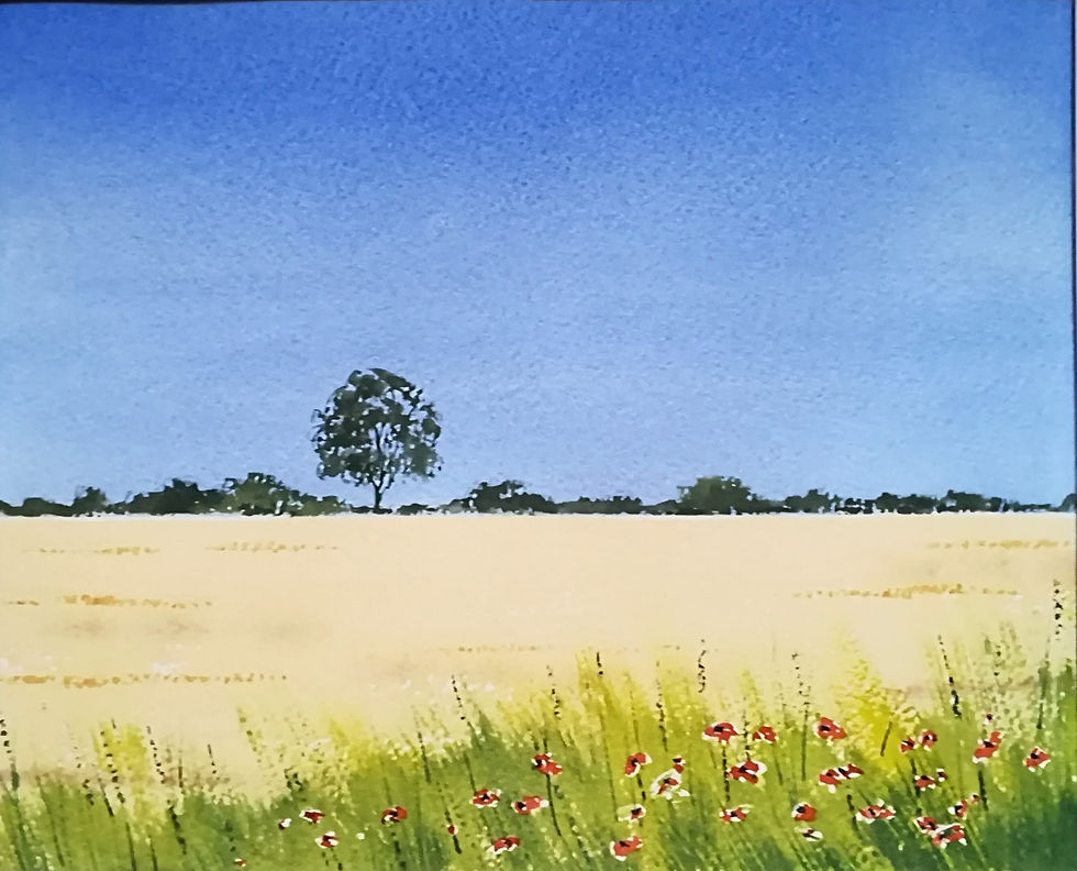 Cornfield And Poppies