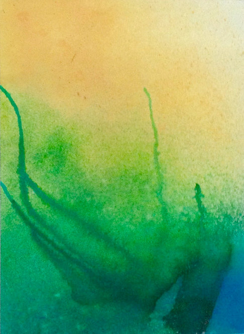 Undersea 1