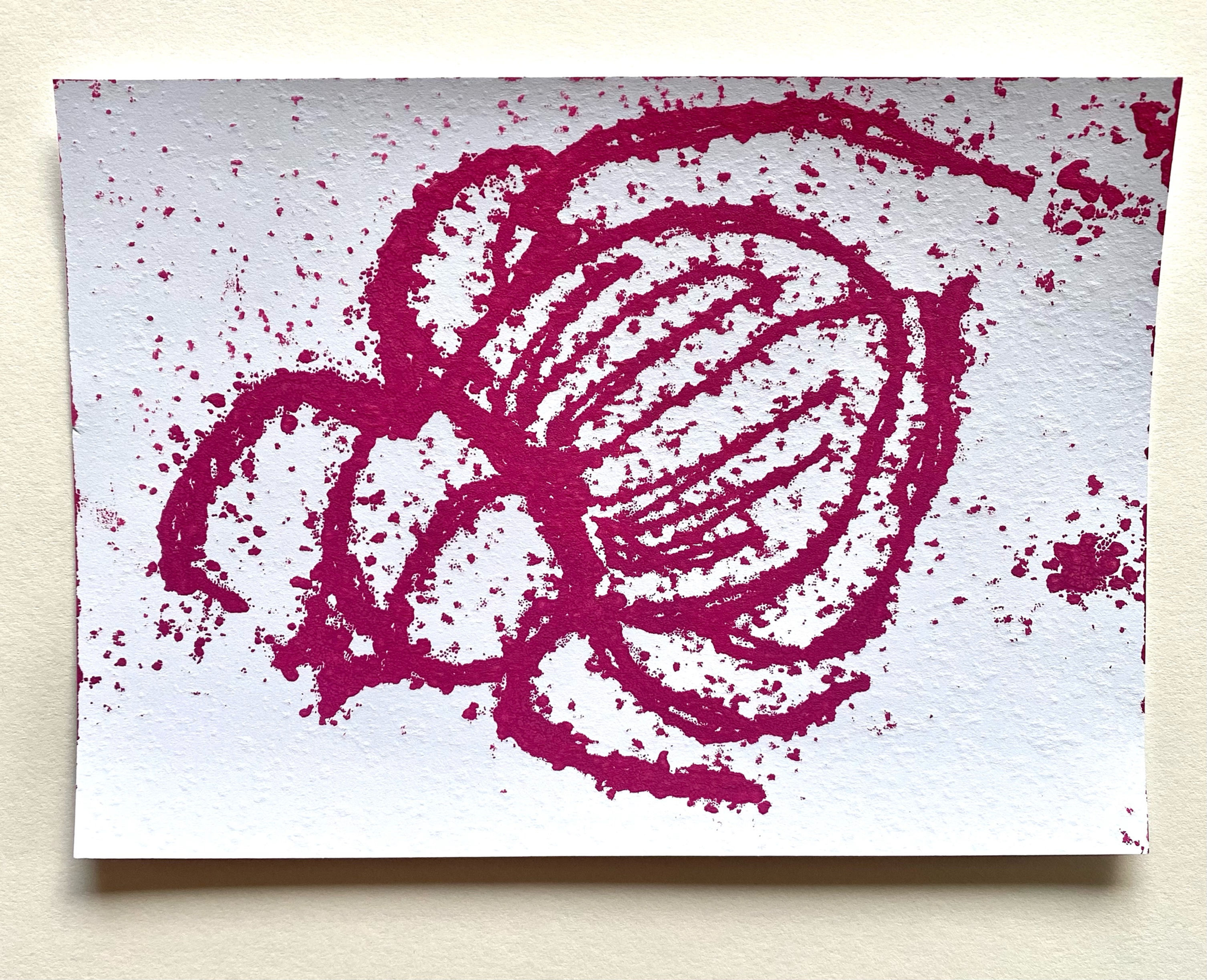 Pink Ground Beetle