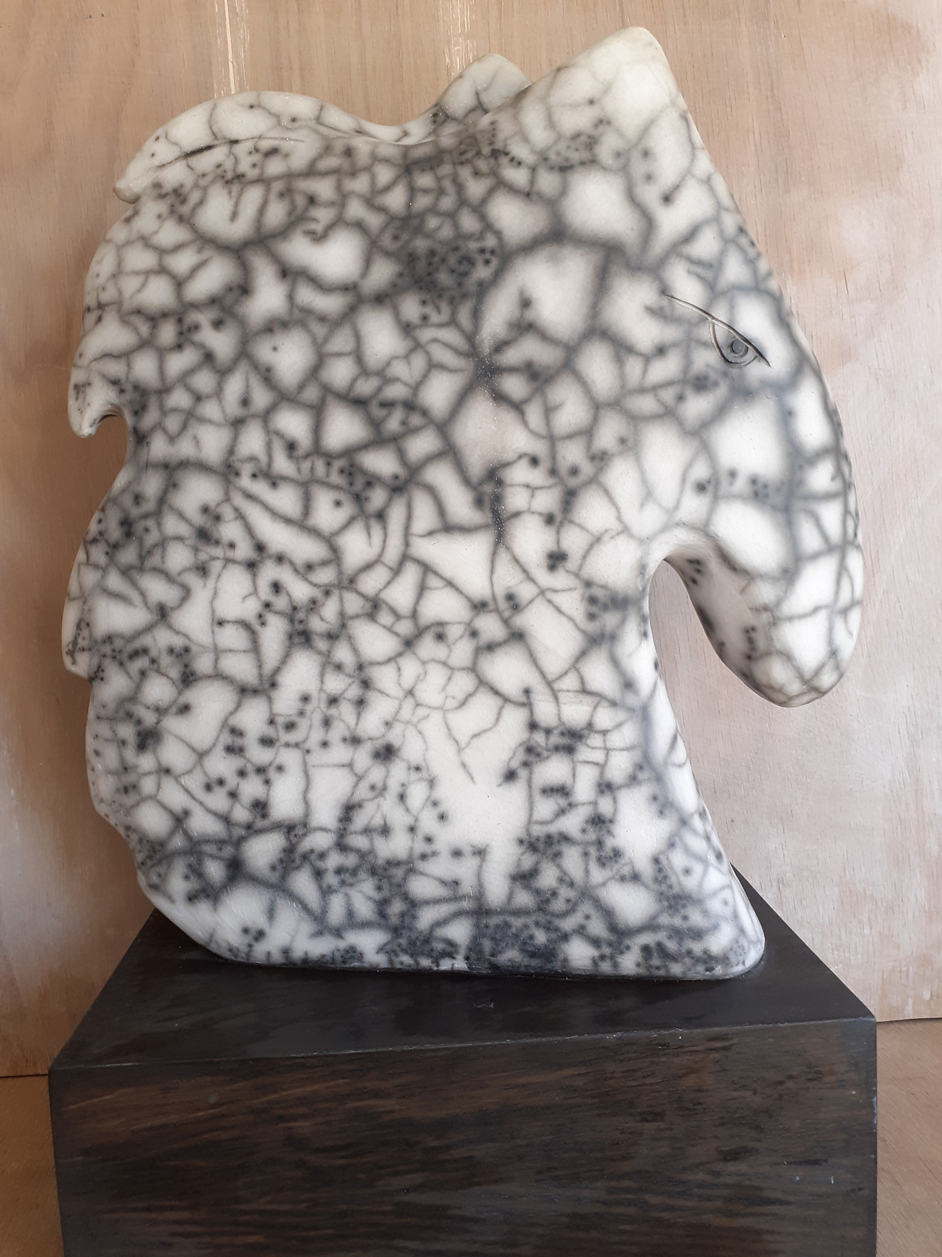 Horse Head
