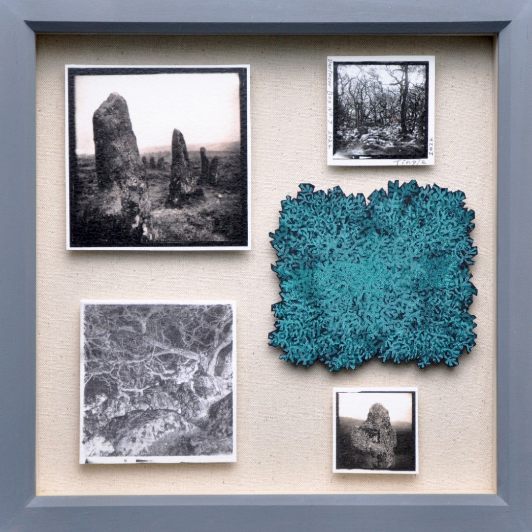 Dartmoor Box No 7. (Scorhill/Lichen)