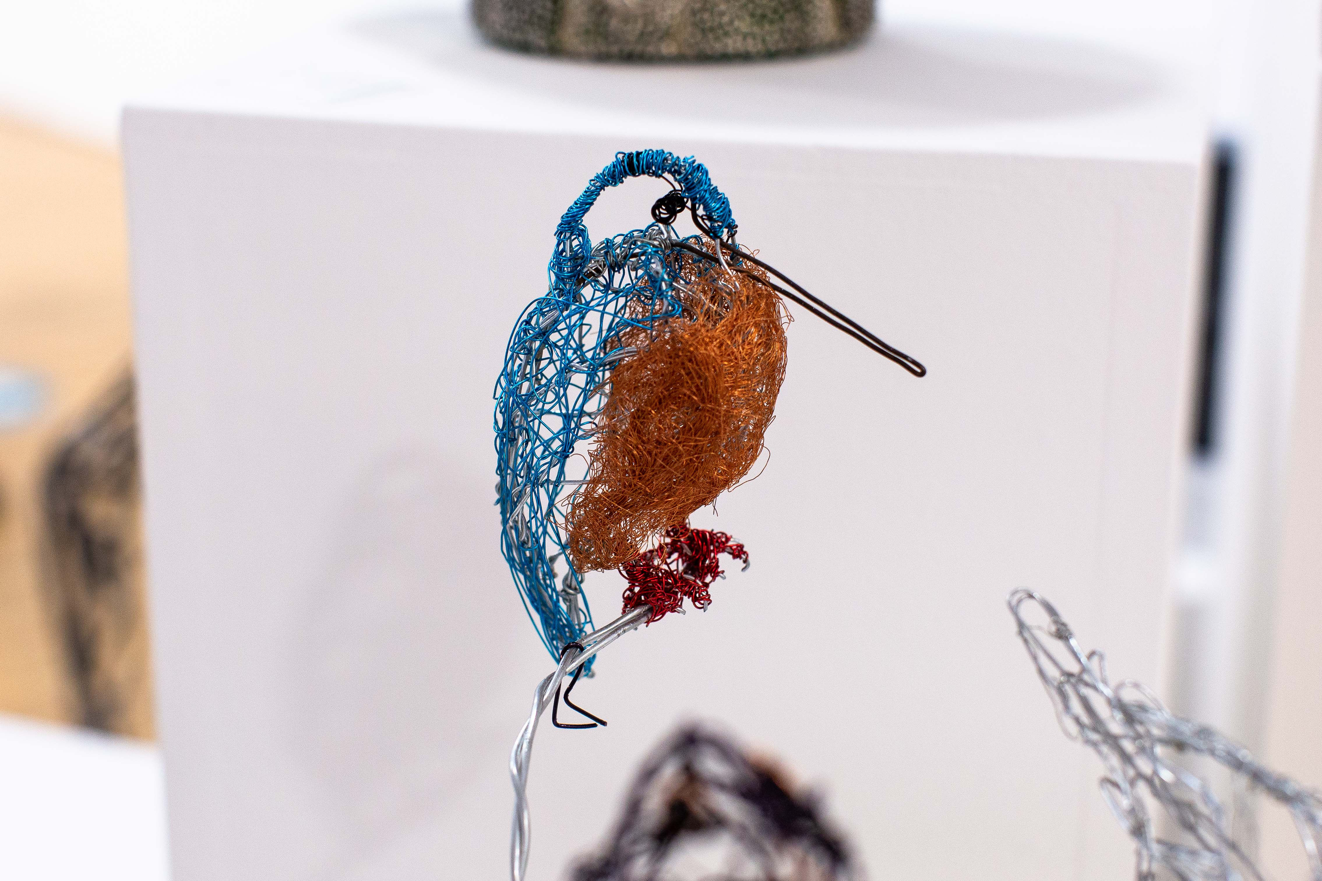 Kingfisher