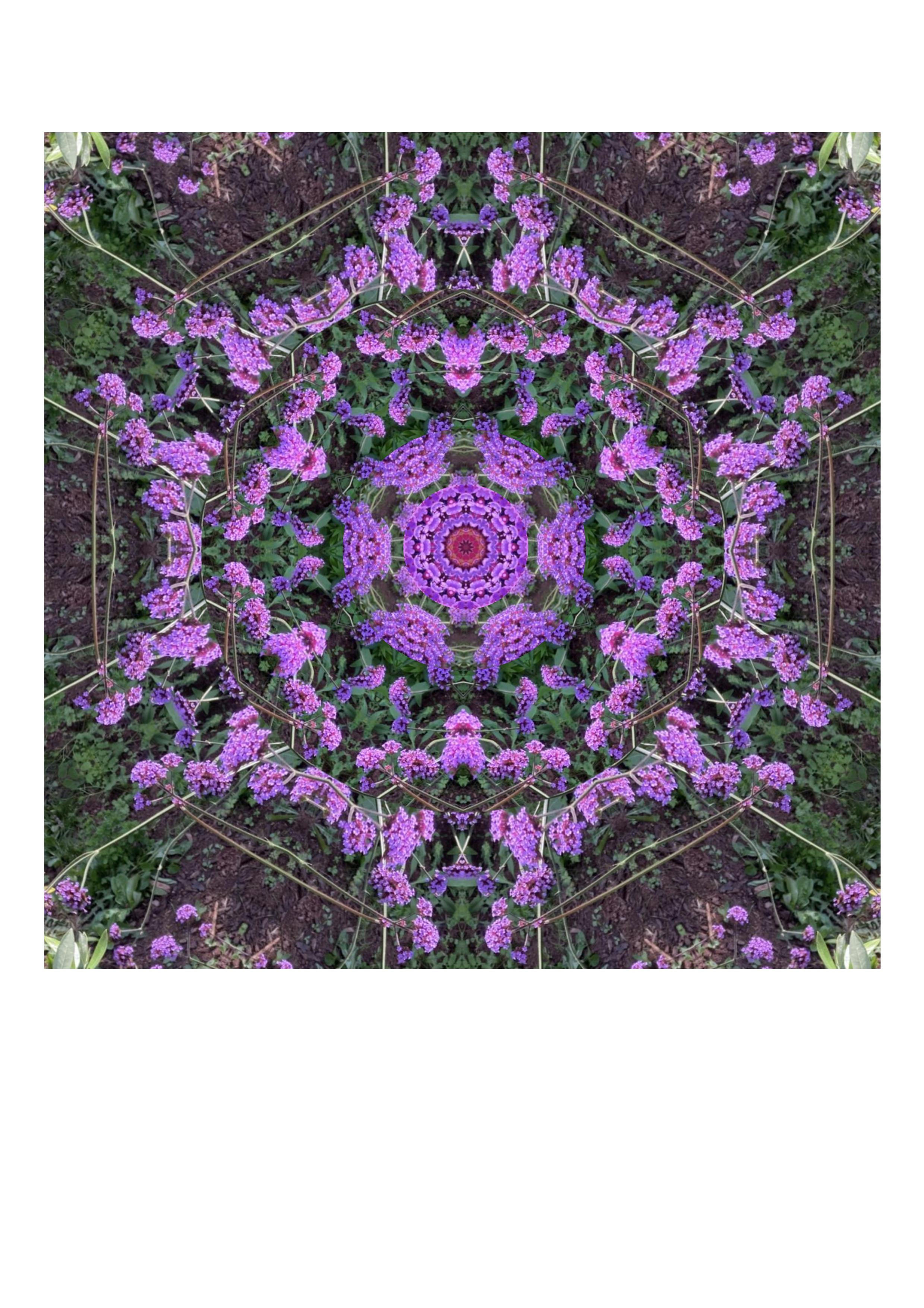 Rainbow Mandala - Purple