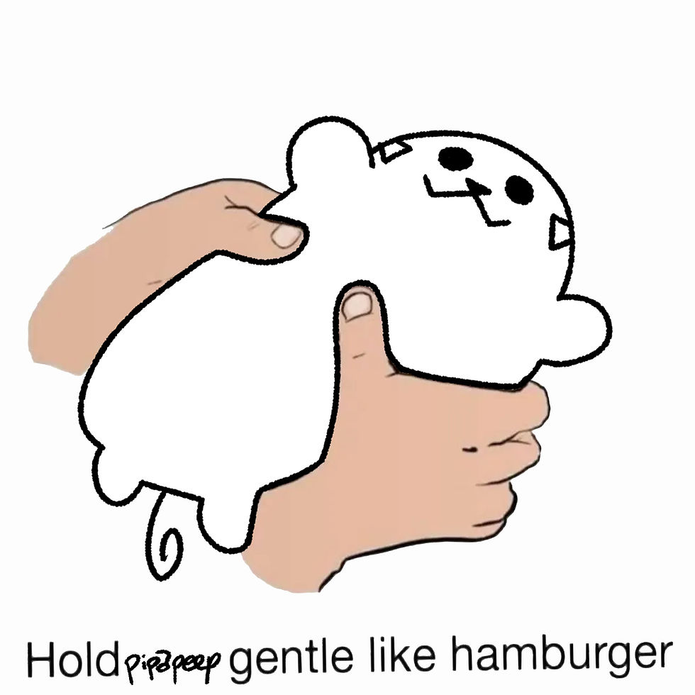 how to hold a pipapeep