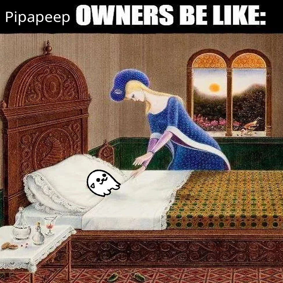 pipapeep owners be like