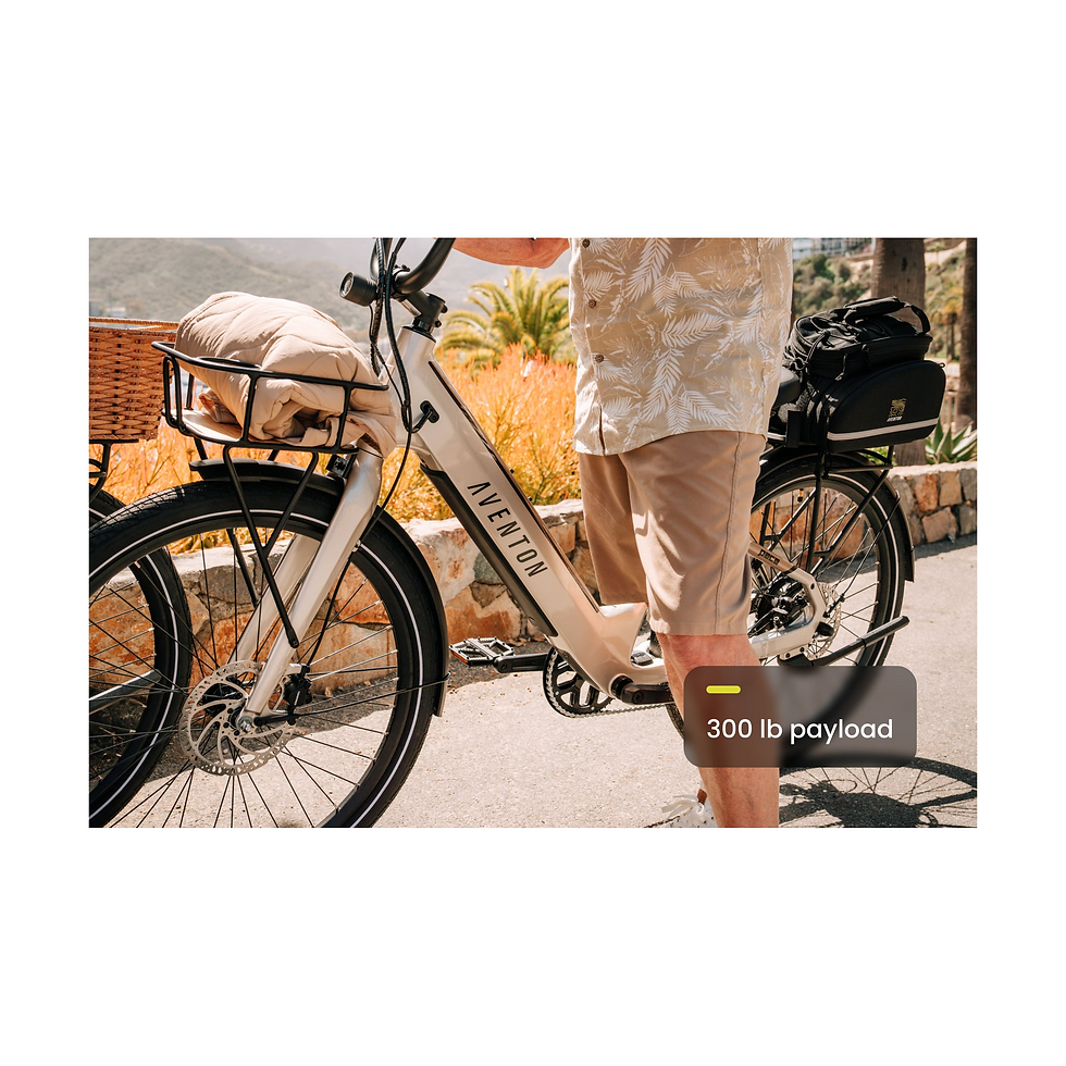 Thumbnail: Pace 4 StepThrough - Flint- Large