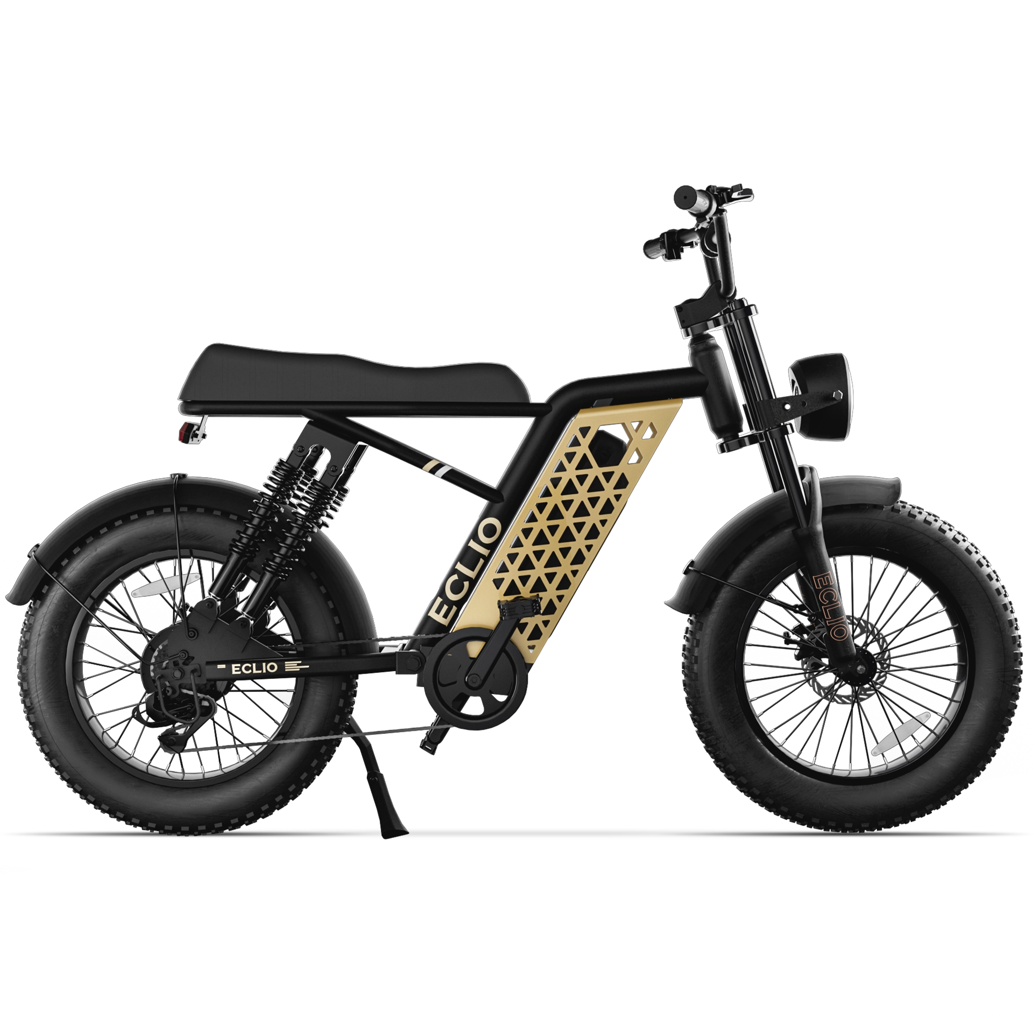 Vetus1