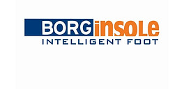 Borginsole.jpg