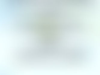 ROAR: Moving Forward with Your Community During Transitions 