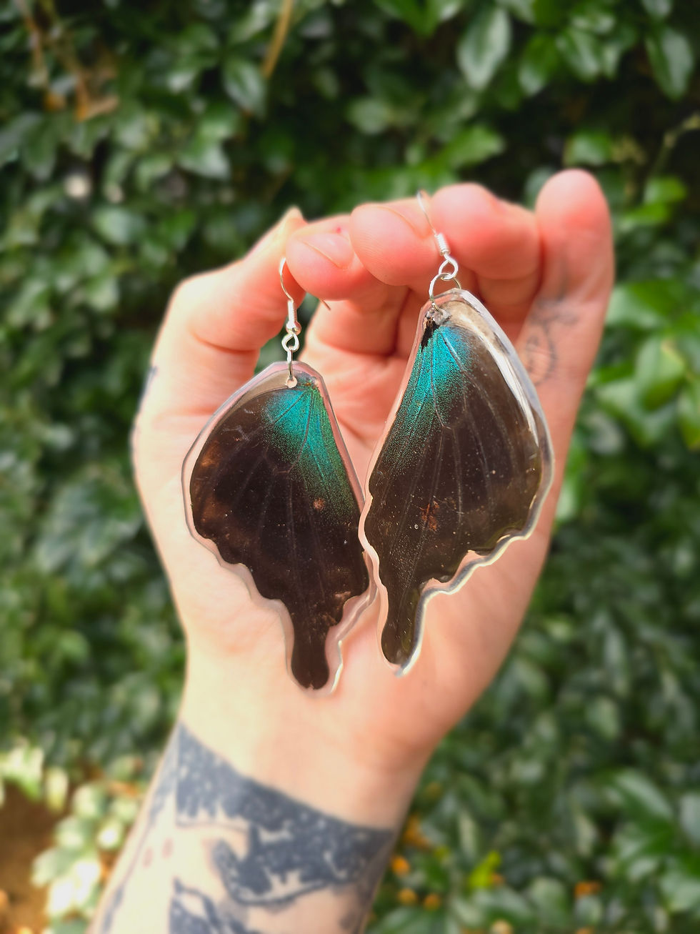 Papilio Wing Earrings