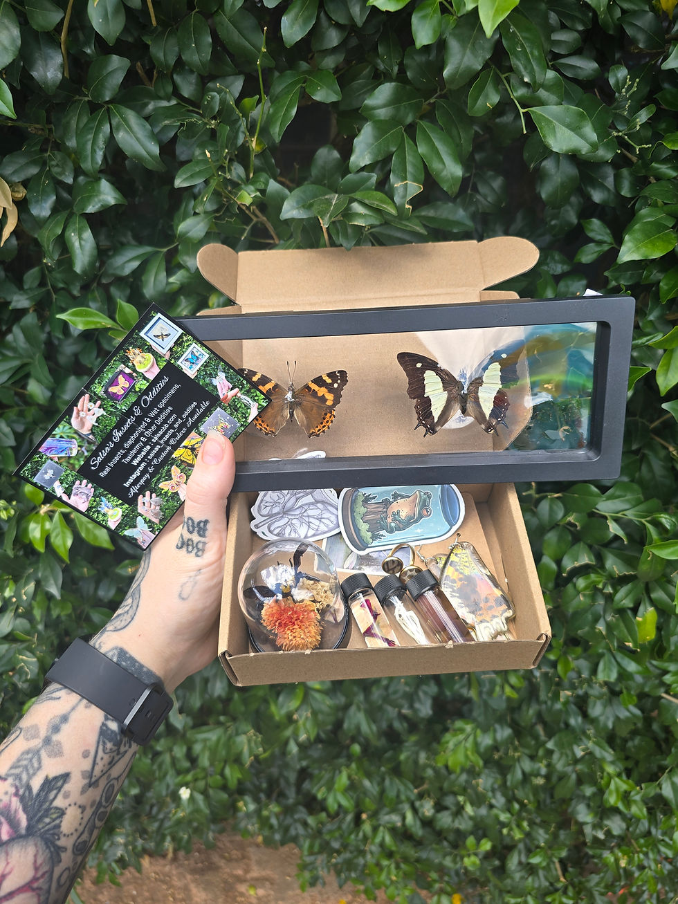 Christmas Stocking Fillers Mystery Packs $10 - $400 Packs!