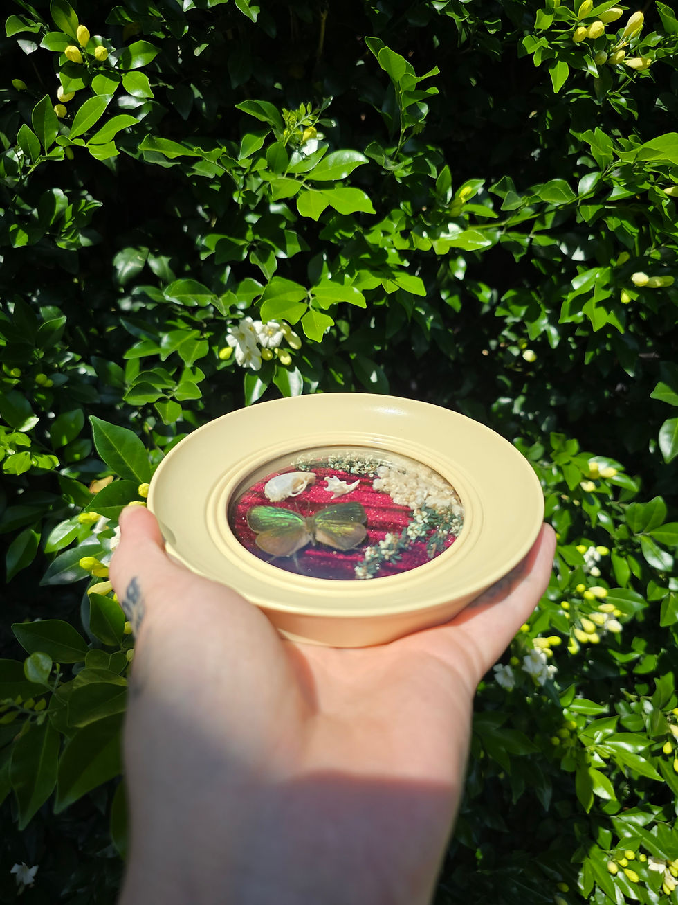 Thumbnail: Green Oakblue Butterfly + Mouse Skull & Preserved Flowers Vintage Frame 