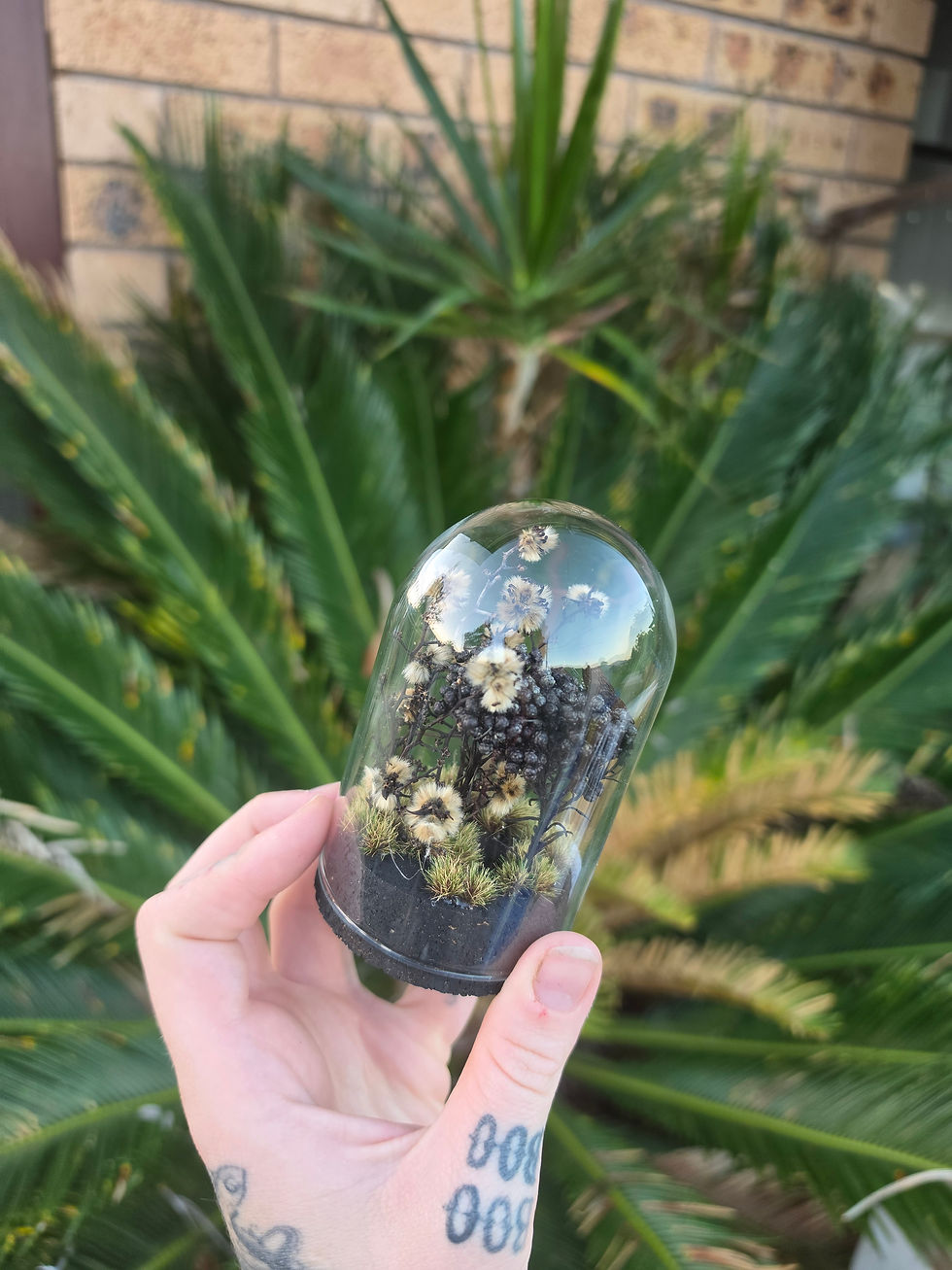 Thumbnail: Blue Gem Butterfly Mini Dome 