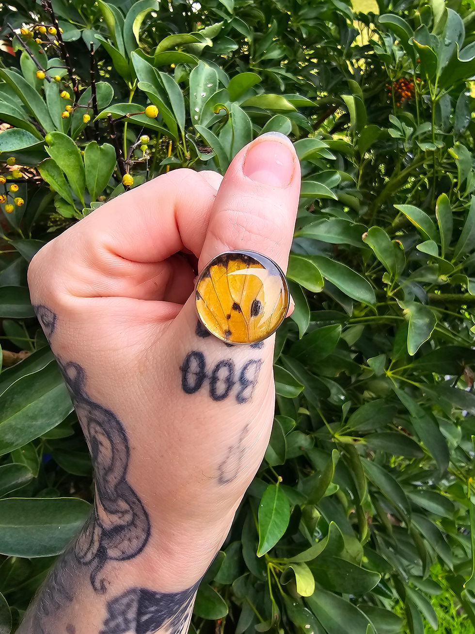 Orange Butterfly Wing Adjustable Ring