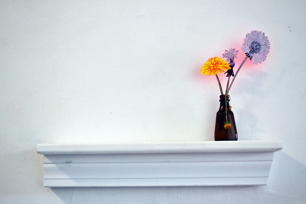 Lowe_kati_ephemeral witness_2025