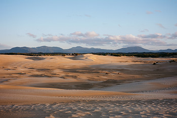 Big Drift Wilsons Promontory