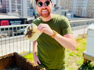 THE BEE'S KNEES