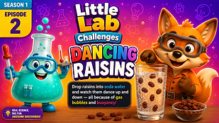 Little Lab Challenges Banner_edited.jpg