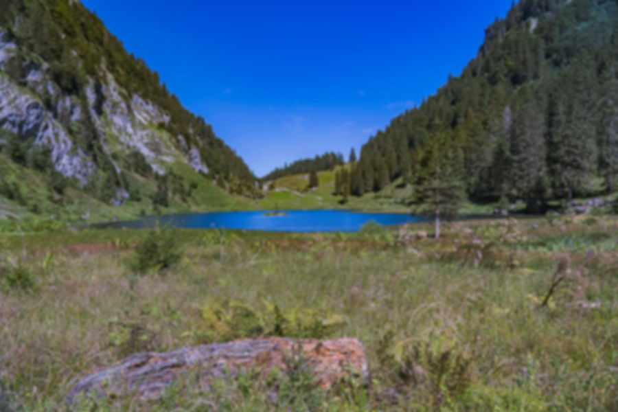 Video Weekend Workshop