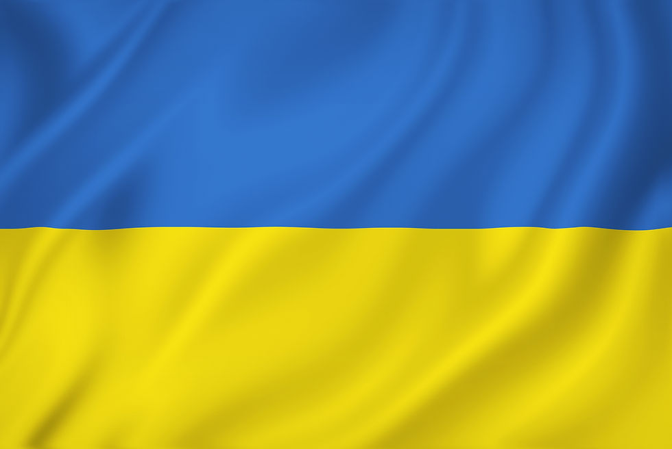 Partnership konkret, Ukraine Flüchtlinge
