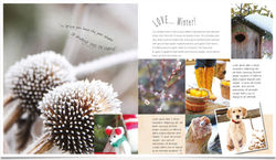 FARM-FRESH RECIPES, Cico Books