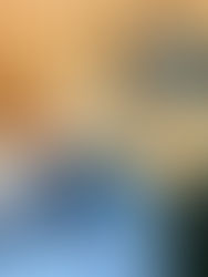 Empörung als Konsumform