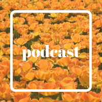 podcast: how i built this with guy raz