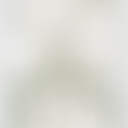 activity: seed library @ new york public library, nyc