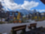 Commercial Area PXL_20241010_173837487.jpg