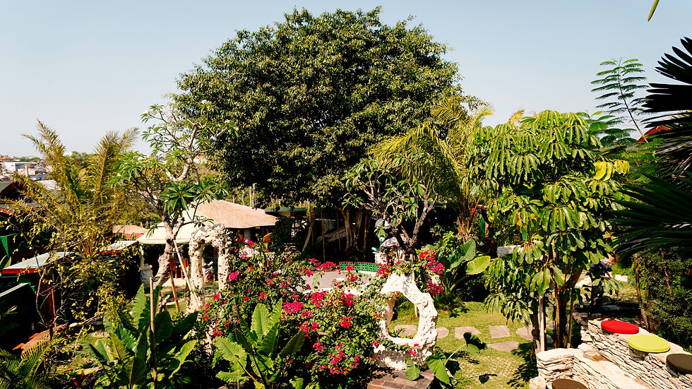 eywa retreat bali