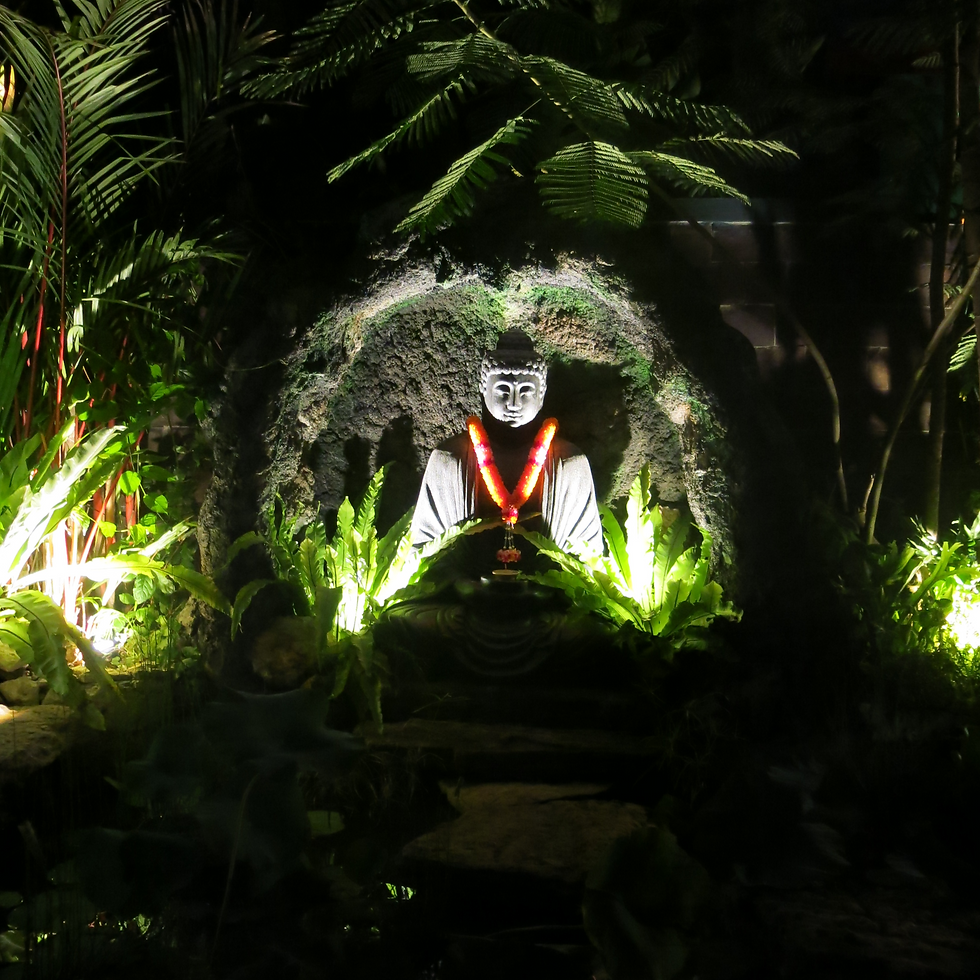 buddha bali
