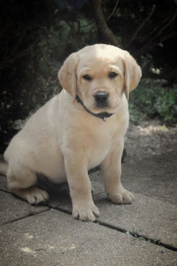 MickeyPribilBaby_edited