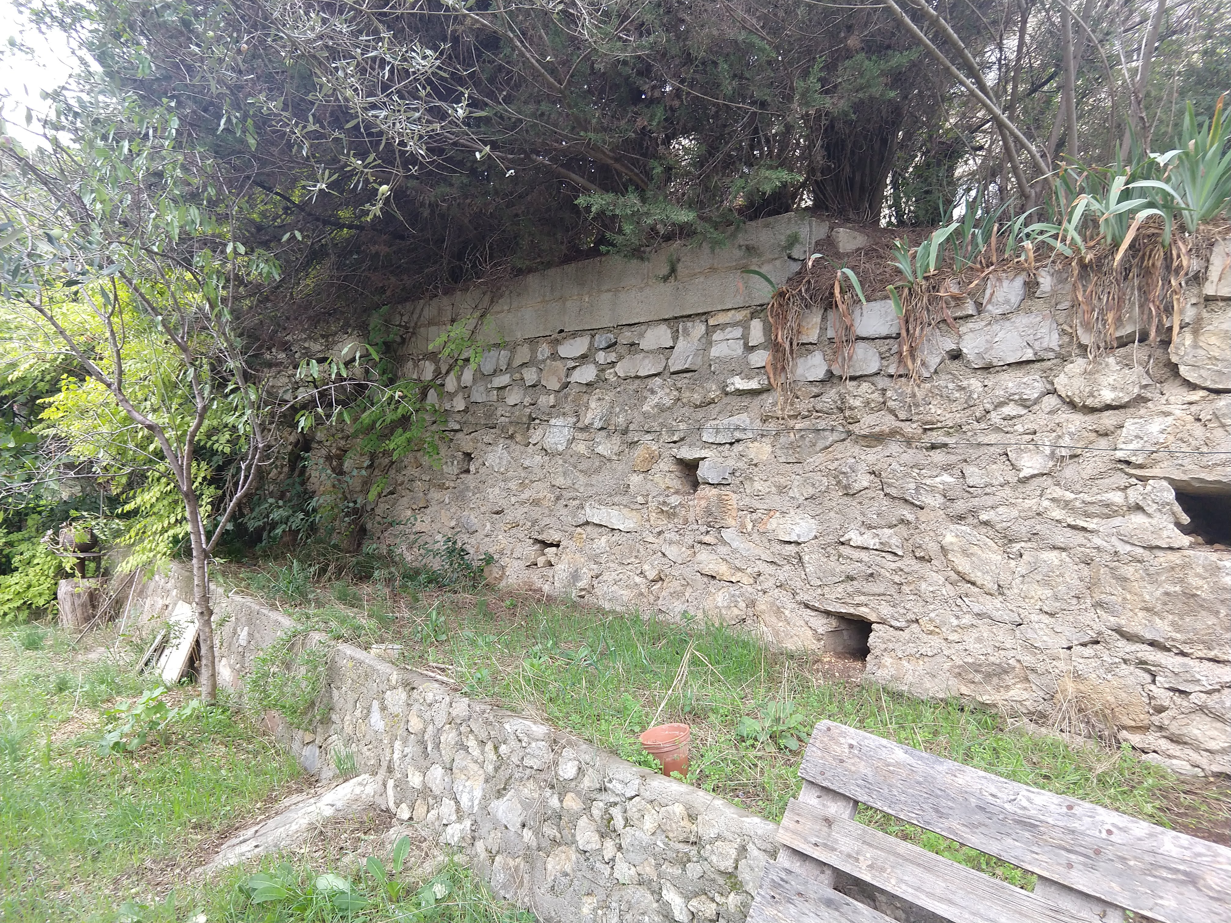 Terrasse face à un mur exposé sud