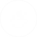 ayur.png