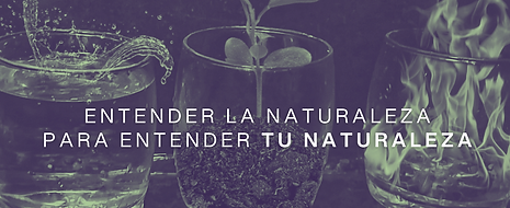 Copia de Green Minimalist Fashion Photo Collage Instagram Post.png