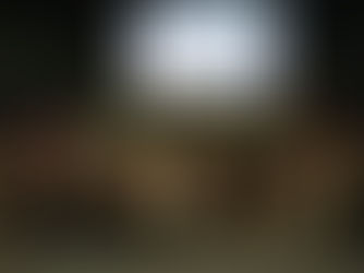 DIRETORES DA EEP E COTIP, PARTICIPAM DE INICIATIVA PELA AGENDA 2030 EM PIRACICABA