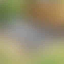 Abdeckhaube nach Maß Sandkaste