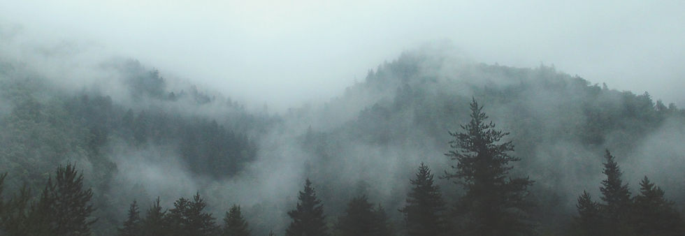 Brouillard mental
