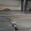 Thumbnail: Wisco sandwich / pizza oven: Used Restaurant Equipment