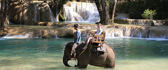 Elephant Ride Tad Sae