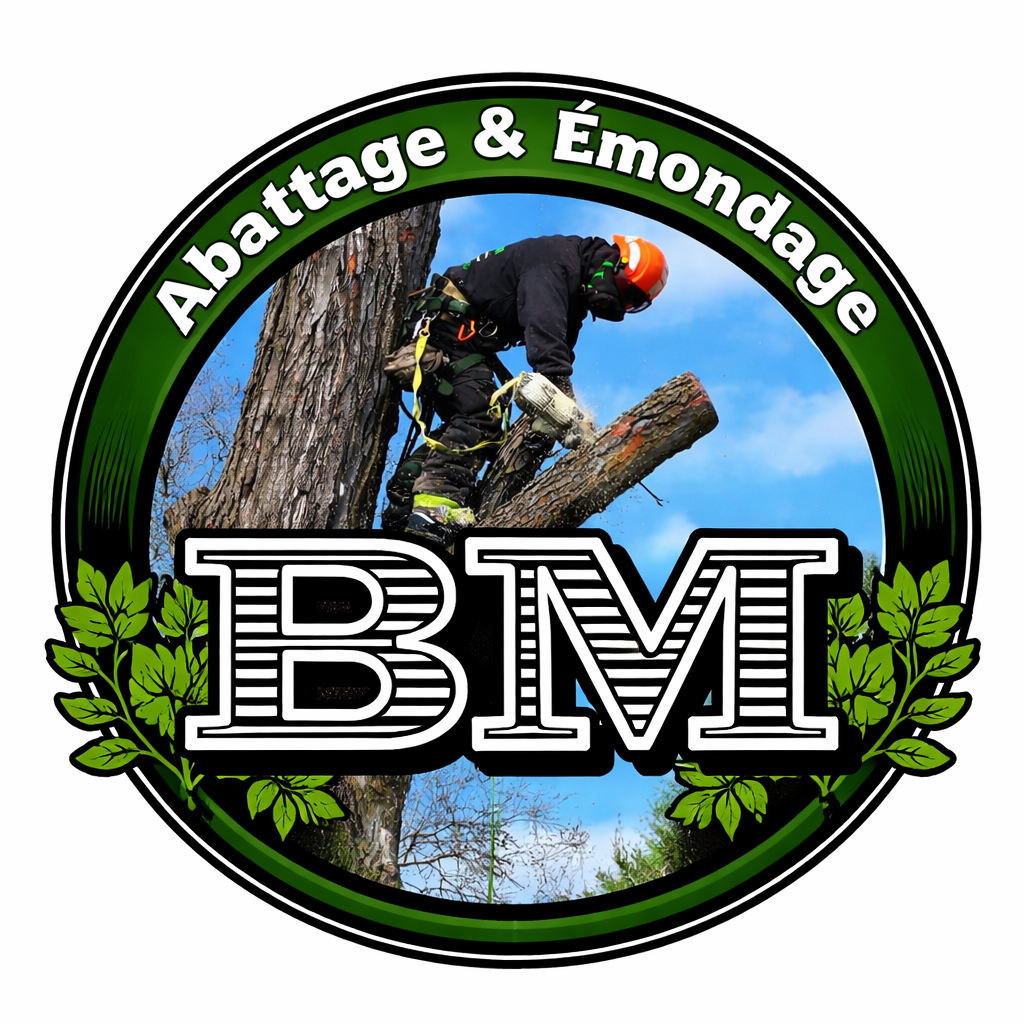 bm icon.png