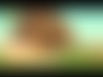 Prophet Stories In English | Prophet Nuh (AS) | Stories Of The Prophets | Quran Stories