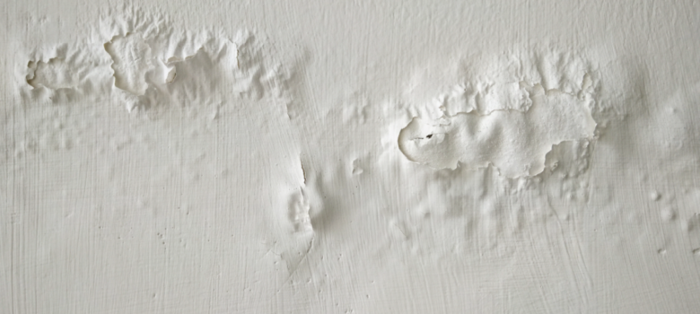 Damage caused by damp and moisture